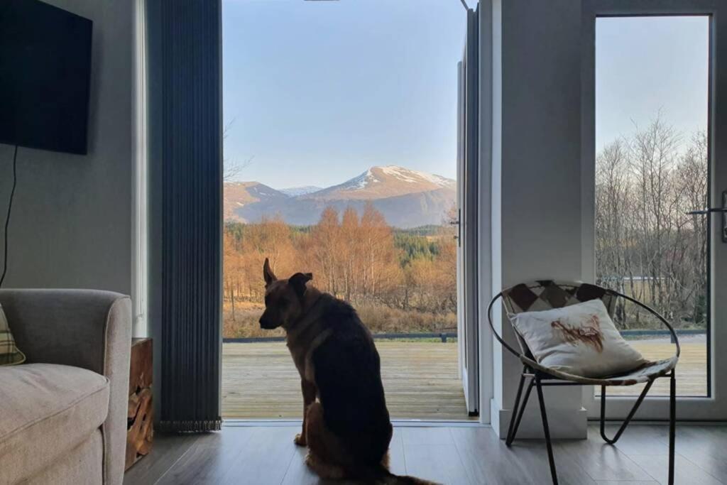 פורט ויליאם Ben Nevis Scotland Highlands, Camden House Luxury Home מראה חיצוני תמונה